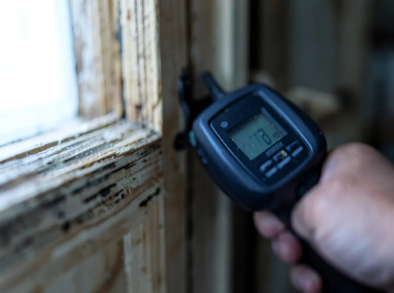 Moisture Inspection And Documentation in Circleville, KS